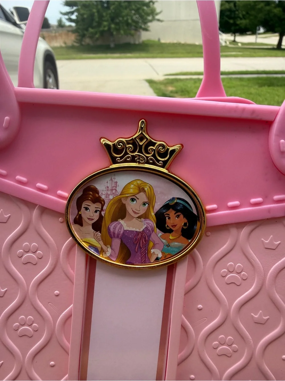 Disney themed pink